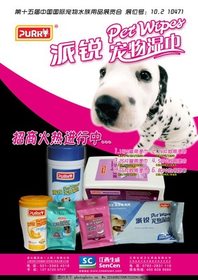 寵物用品海報設計模板 創意與實用的完美結合