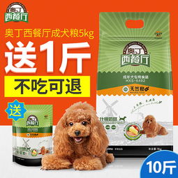 寵物用品電商視覺營銷策略 主圖、直通車圖與鉆展圖的設(shè)計與優(yōu)化