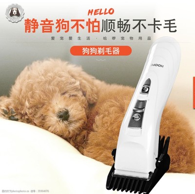 寵物用品 提升愛寵生活品質(zhì)的必備選擇