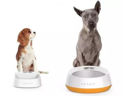 小佩寵物獲億元融資，聚焦“品類+海外+線下”打造寵物生活新生態(tài)