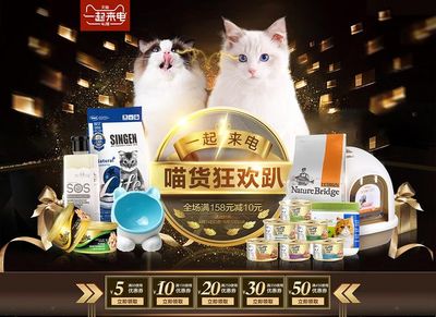 寵物用品 關愛伴侶的溫馨選擇